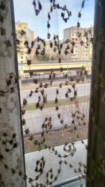 Аренда 3х комнотноя Орентир <br />
Бекат-3 в квартире есть в — фото 5