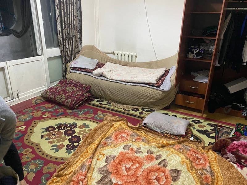 Shayhontoxur tumanidan tinchlik metro yaqinida bollarga sher — фото 3