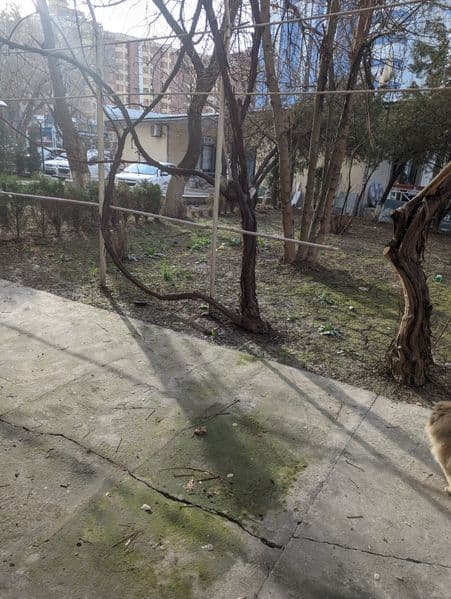 Сдам свою 4 комнатную квартиру (переделанную в 3), в центре  — фото 2